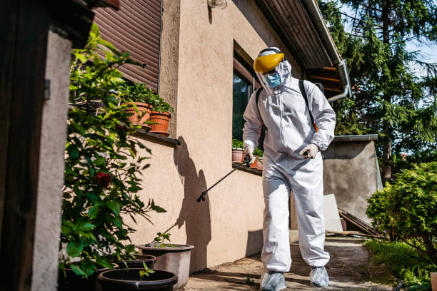 Best Termite Control Services  in Tracyton, WA